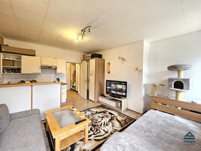 1-Zimmer-Wohnung mieten in Salzburg-Umgebung – 27 m², € 580 – Bild 1 von 7