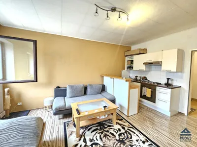 1-Zimmer-Wohnung mieten in Salzburg-Umgebung – 27 m², € 580 – Bild 4 von 7