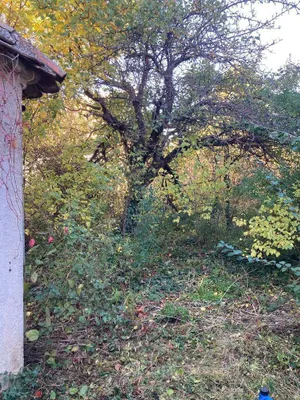 6-Zimmer-Immobilie kaufen in Hollabrunn – 150 m², € 194.000 – Bild 28 von 30