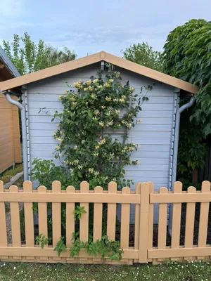 4-Zimmer-Wohnung kaufen in Eisenstadt - Umgebung – 45 m², € 46.000 – Bild 11 von 14