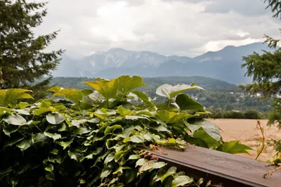 11-Zimmer-Haus kaufen in Villach Land – 326 m², € 990.000 – Bild 8 von 8