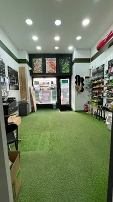 2-Zimmer-Gewerbeimmobilie mieten in Wien – 30 m², € 1.200 – Bild 5 von 13