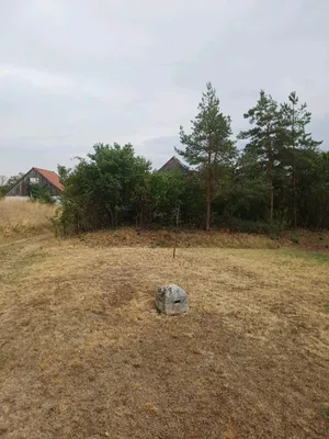 Immobilie kaufen in Mistelbach – 54 m², € 30.000 – Bild 11 von 11