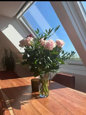 Dachgeschosswohnung – Bild 3