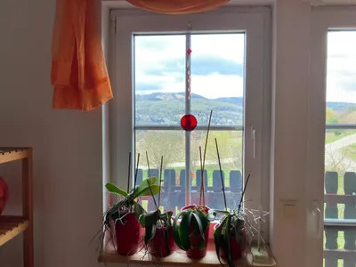 6-Zimmer-Wohnung mieten in Sankt Pölten Land – 160 m², € 2.186 – Bild 10 von 17