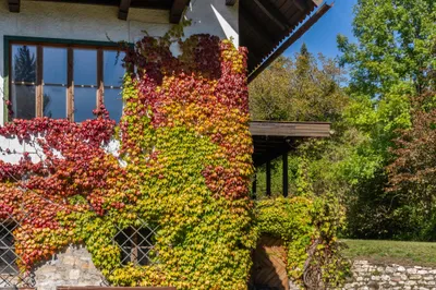 Haus kaufen in Villach Land – 180 m², € 1.970.000 – Bild 7 von 8