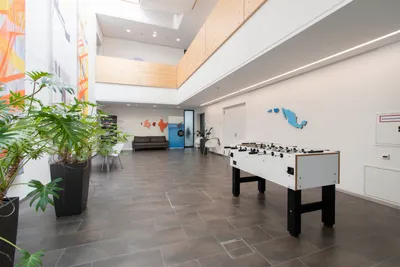 Gewerbeimmobilie mieten in Linz Land – 1 050 m², € 11.288 – Bild 8 von 19
