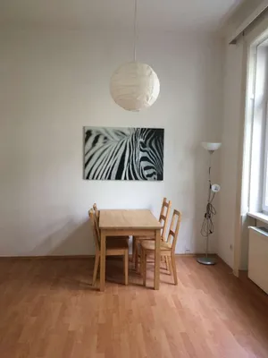 3 Zimmerwohnung bei Schönbrunn