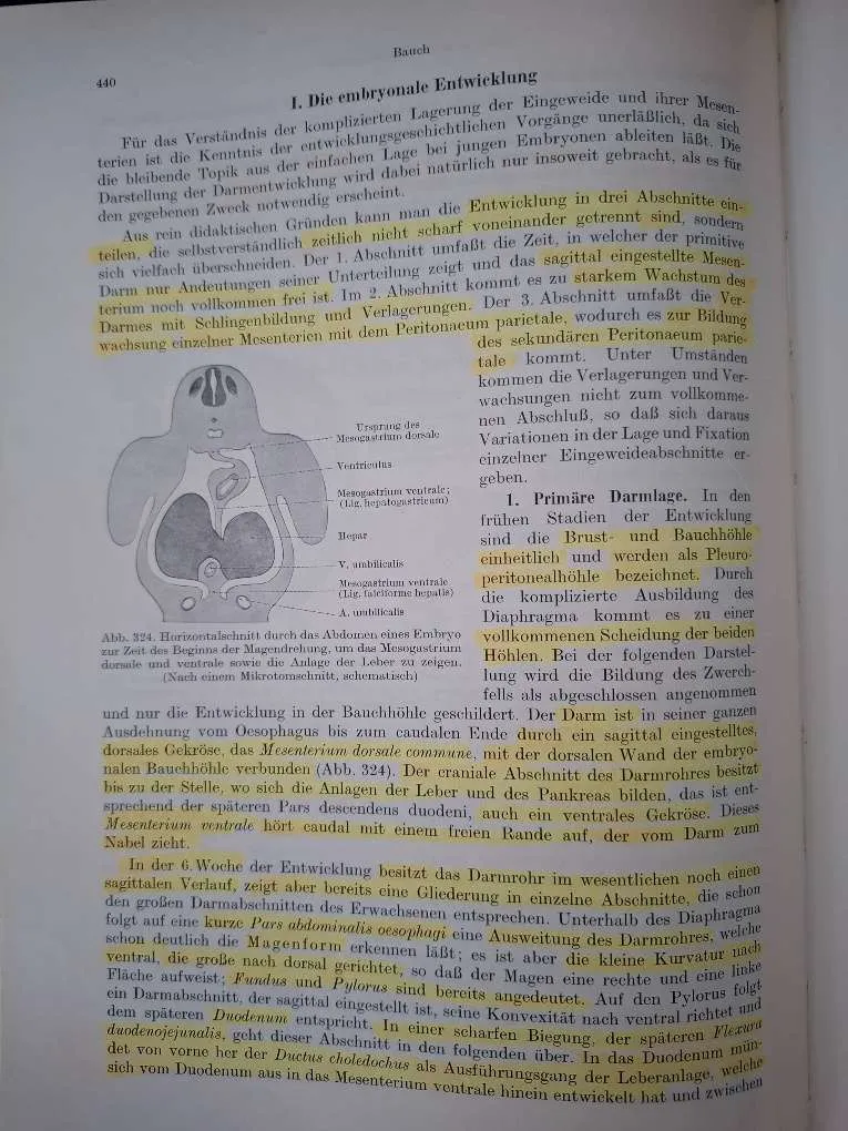 Lehrbuch der topographischen Anatomie (Hafferl/ Thiel), € 110