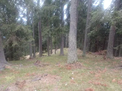 Grundstück kaufen in Villach Land – 41 050 m² – Bild 3 von 6