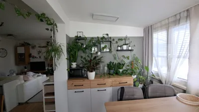 2-Zimmer-Wohnung mieten in Murtal – 52 m², € 511 – Bild 9 von 22