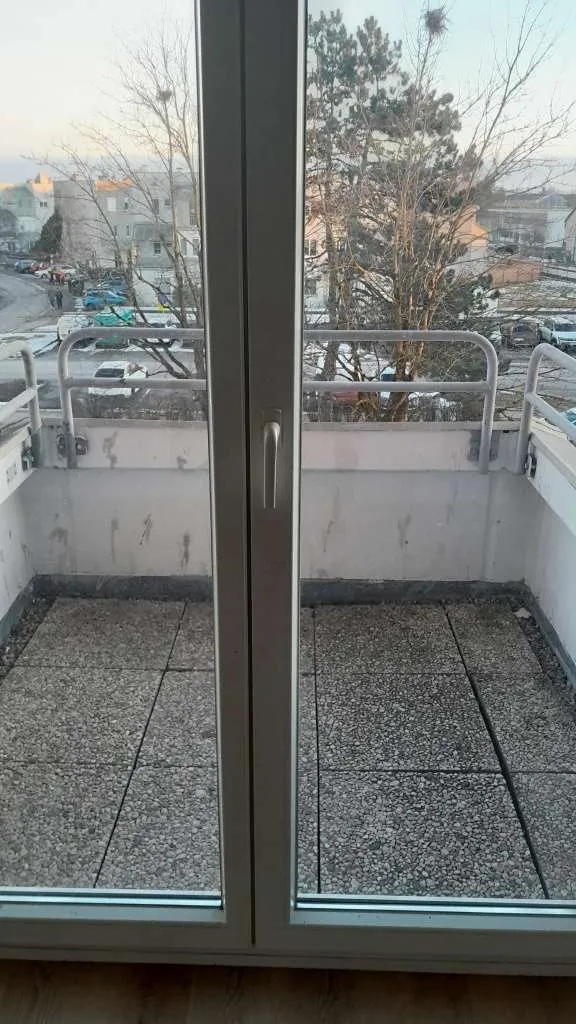 Wohnung – Marchtrenk, Niederperwend - Ansicht 3