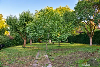 Grundstück kaufen in Hollabrunn – 781 m², € 78.100