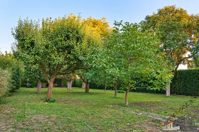 Grundstück kaufen in Hollabrunn – 781 m², € 78.100 – Bild 3 von 4