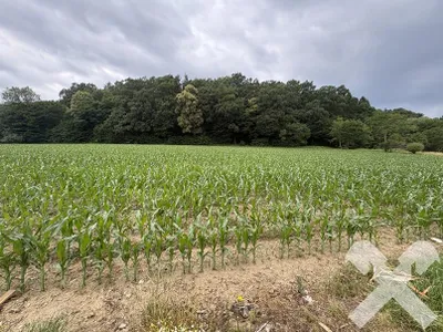 Grundstück kaufen in Hartberg-Fürstenfeld – 901 m², € 54.060 – Bild 3 von 4