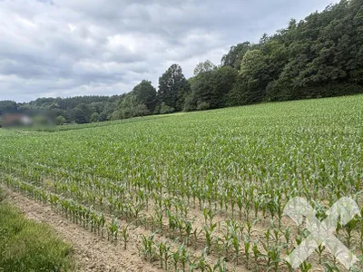 Grundstück kaufen in Hartberg-Fürstenfeld – 901 m², € 54.060 – Bild 2 von 4