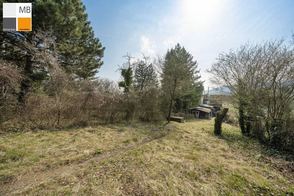 ++ Natur pur - wo Ihre Villa ein Zuhause findet I MB IMMOBILIEN ++ - Ansicht 3