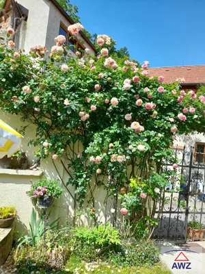4-Zimmer-Haus kaufen in Krems an der Donau – 104 m² – Bild 8 von 8