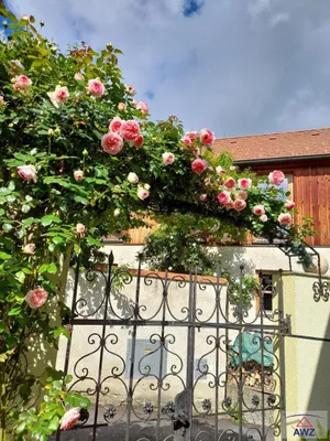 4-Zimmer-Haus kaufen in Krems an der Donau – 104 m² – Bild 7 von 8