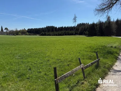 Grundstück kaufen in Wels-Land – 3 517 m², € 65.000 – Bild 2 von 2