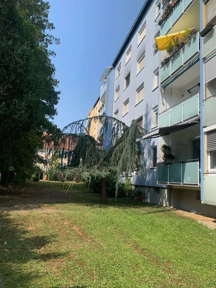 Wohnung – Feldbach - Ansicht 2