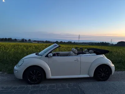 VW Beetle