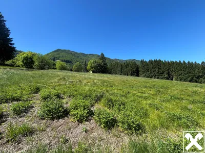 Grundstück kaufen in Kirchdorf an der Krems – 3 850 m², € 195.000 – Bild 3 von 3