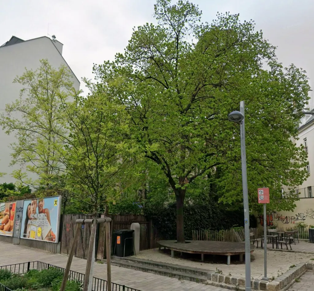 "Garten in 1040 Wien" - Seltene Gelegenheit einen Garten in der Innenstadt zu mieten, Wien