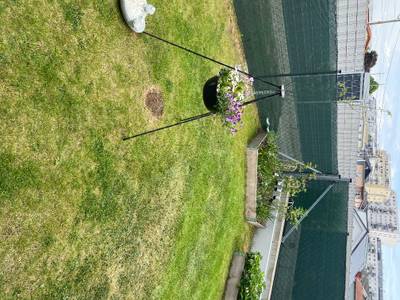 Gartenwohnung – Bild 3