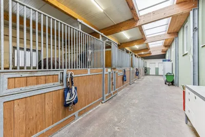 Grundstück kaufen in Bruck an der Leitha – 5 475 m², € 1.790.000 – Bild 5 von 9
