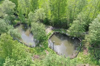 Immobilie kaufen in Voitsberg – 5 m², € 150.000 – Bild 1 von 5
