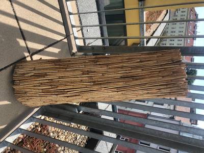 Bambus Schilfrohr Sichtschutz 100x300,  20,- (1180 Wien) - willhaben
