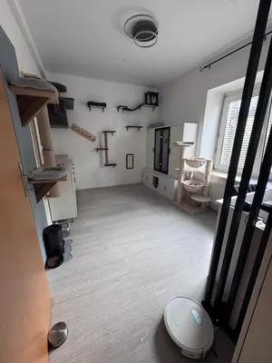 3-Zimmer-Wohnung mieten in Graz-Umgebung – 61 m², € 755 – Bild 3 von 12