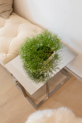 4-Zimmer-Wohnung mieten in Weiz – 80 m², € 1.495 – Bild 20 von 40