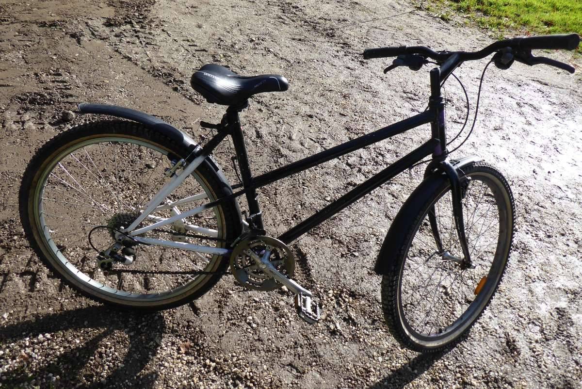 Wheeler Mountainbike 26 Zoll,  50,- (9586 Frnitz) - willhaben
