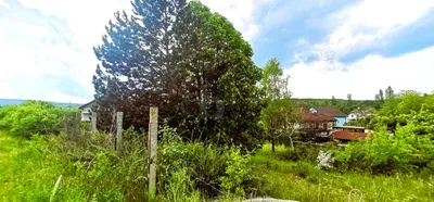 Grundstück kaufen in Wiener Neustadt Land – 1 196 m², € 390.000 – Bild 3 von 4