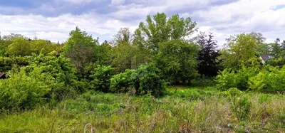 Grundstück kaufen in Wiener Neustadt Land – 1 196 m², € 390.000 – Bild 2 von 4