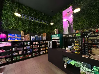 Gewerbeimmobilie mieten in Wien – 90 m², € 990