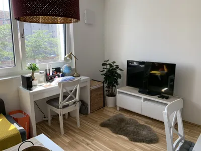 1-Zimmer-Wohnung mieten in Wien – 32 m², € 597 – Bild 5 von 6