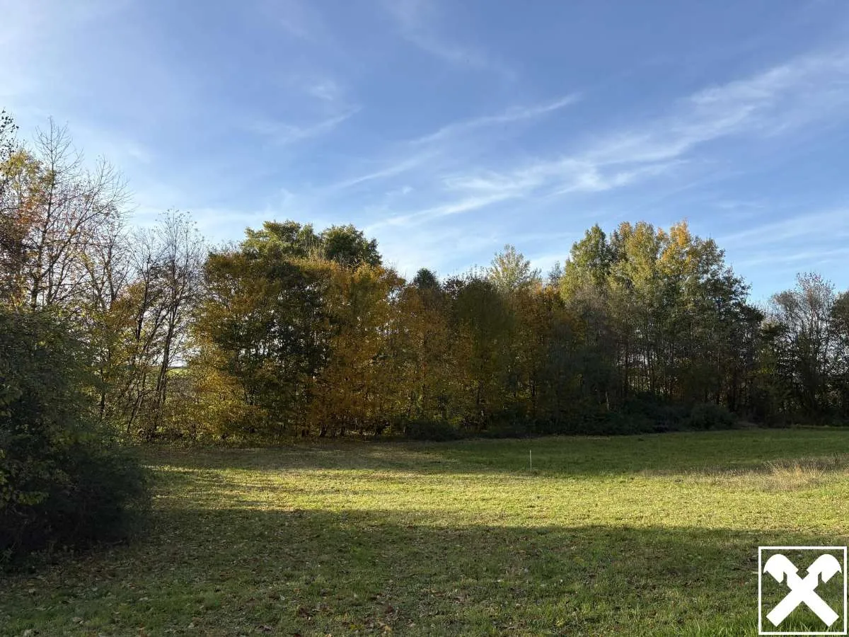 Idyllisches Baugrundstück im Grünen - Widok 3