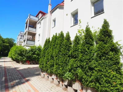 2-Zimmer-Wohnung kaufen in Baden – 42,65 m², € 159.000 – Bild 3 von 16