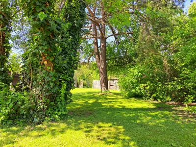 Grundstück mieten in Wels – 2 800 m², € 2.450 – Bild 12 von 14