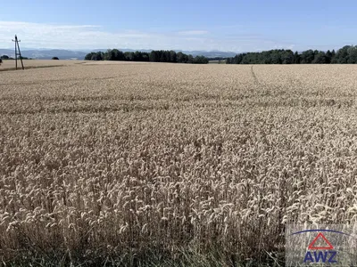 Grundstück kaufen in Amstetten – 56 993 m² – Bild 1 von 3