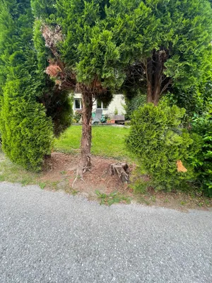 17-Zimmer-Immobilie kaufen in Lilienfeld – 570 m², € 585.000 – Bild 31 von 31