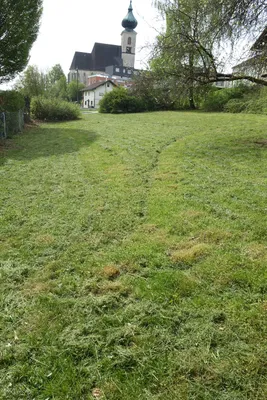 Grundstück kaufen in Wels-Land – 700 m², € 189.000 – Bild 7 von 13