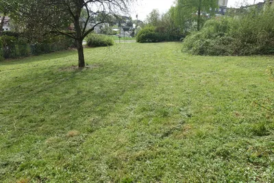 Grundstück kaufen in Wels-Land – 700 m², € 189.000 – Bild 5 von 13