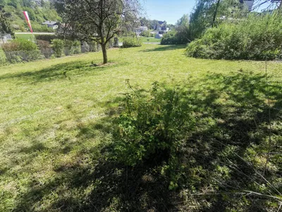 Grundstück kaufen in Wels-Land – 700 m², € 189.000 – Bild 11 von 13