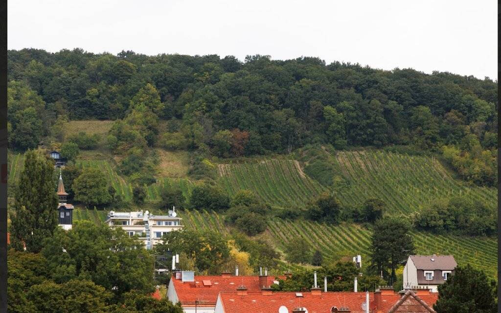 ERSTBEZUG! LUXUS VILLA 1190 MIT DEM WEITBLICK AUF DIE DÖBLINGER WEINBERGE!, Wien