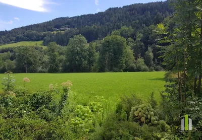 Grundstück kaufen in Liezen – 2 349 m² – Bild 9 von 9