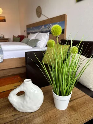 1-Zimmer-Wohnung kaufen in Gmunden – 35 m², € 145.000 – Bild 27 von 39